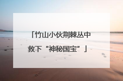 竹山小伙荆棘丛中救下“神秘国宝”