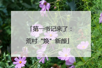 第一书记来了：荒村“焕”新颜
