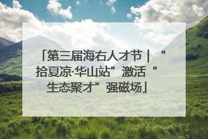 第三届海右人才节｜“拾夏凉·华山站”激活“生态聚才”强磁场
