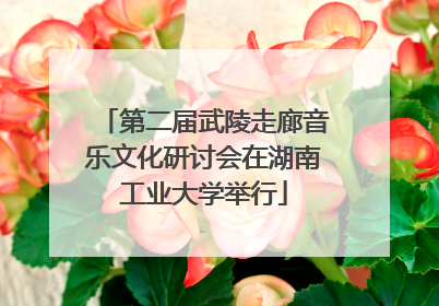 第二届武陵走廊音乐文化研讨会在湖南工业大学举行