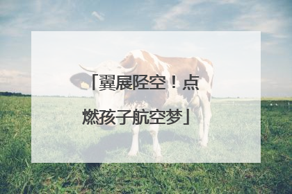 翼展陉空！点燃孩子航空梦