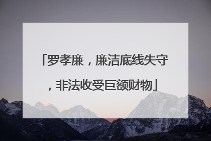 罗孝廉，廉洁底线失守，非法收受巨额财物