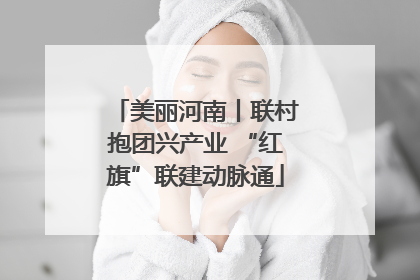 美丽河南丨联村抱团兴产业 “红旗”联建动脉通