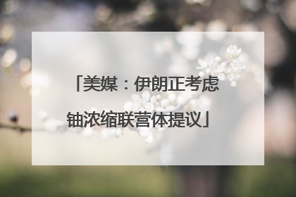 美媒：伊朗正考虑铀浓缩联营体提议