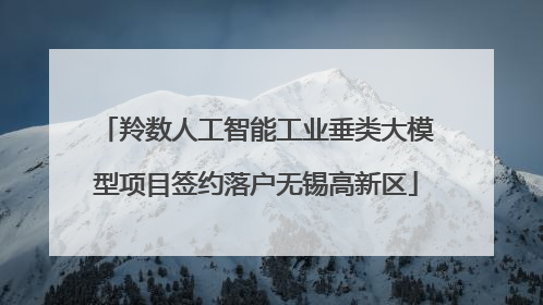 羚数人工智能工业垂类大模型项目签约落户无锡高新区