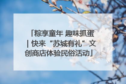 粽享童年 趣味抓蛋｜快来“苏城有礼”文创商店体验民俗活动