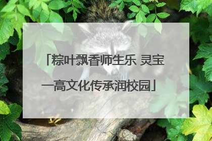 粽叶飘香师生乐 灵宝一高文化传承润校园
