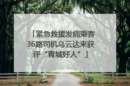 紧急救援发病乘客 36路司机乌云达来获评“青城好人”