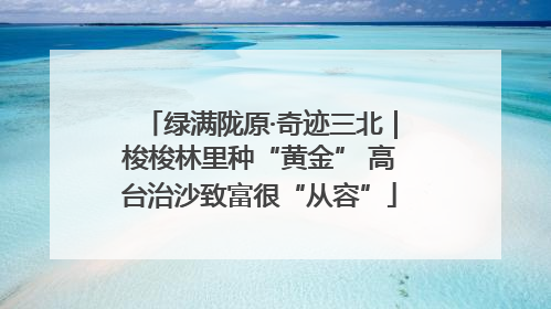绿满陇原·奇迹三北｜梭梭林里种“黄金” 高台治沙致富很“从容”