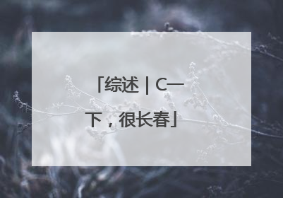 综述｜C一下，很长春