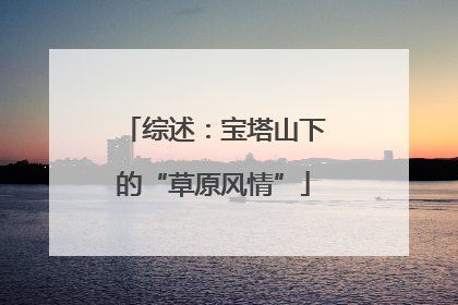 综述：宝塔山下的“草原风情”