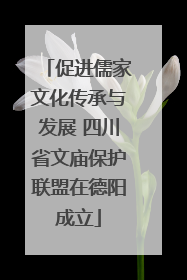 促进儒家文化传承与发展 四川省文庙保护联盟在德阳成立