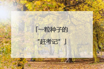 一粒种子的“赶考记”