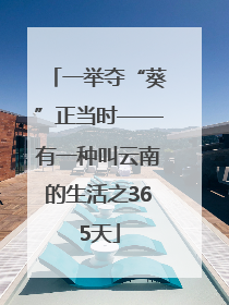 一举夺“葵”正当时——有一种叫云南的生活之365天