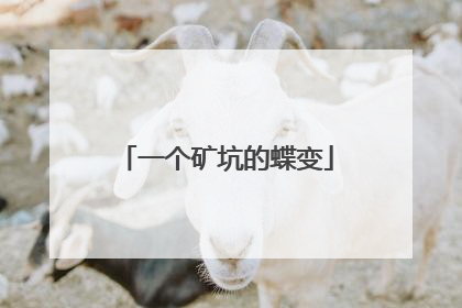 一个矿坑的蝶变