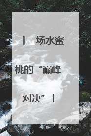 一场水蜜桃的“巅峰对决”