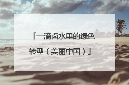 一滴卤水里的绿色转型（美丽中国）