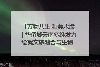 万物共生 和美永续｜华侨城云南多维发力 绘就文旅融合与生物多样性保护新图景