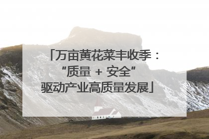 万亩黄花菜丰收季：“质量 + 安全” 驱动产业高质量发展