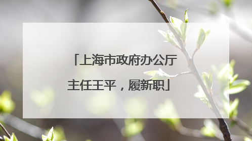 上海市政府办公厅主任王平，履新职