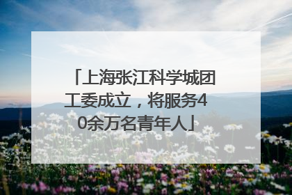上海张江科学城团工委成立，将服务40余万名青年人