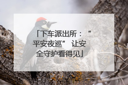 下车派出所：“平安夜巡” 让安全守护看得见