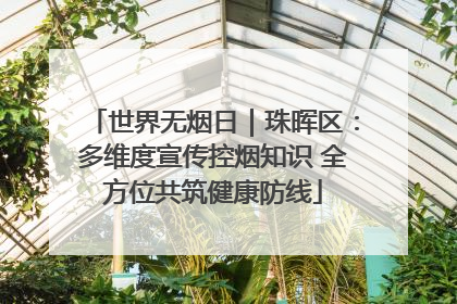 世界无烟日｜珠晖区：多维度宣传控烟知识 全方位共筑健康防线