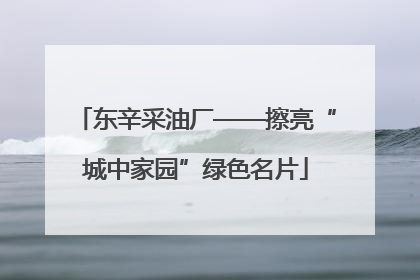 东辛采油厂——擦亮“城中家园”绿色名片