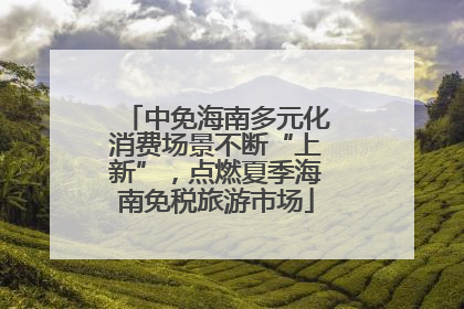 中免海南多元化消费场景不断“上新”，点燃夏季海南免税旅游市场