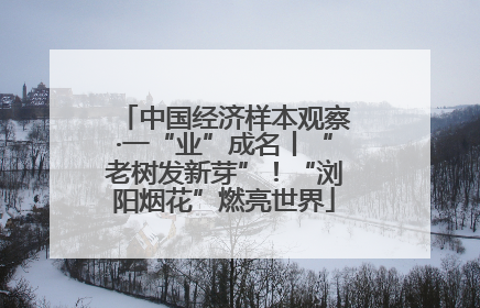 中国经济样本观察·一“业”成名丨“老树发新芽”！“浏阳烟花”燃亮世界