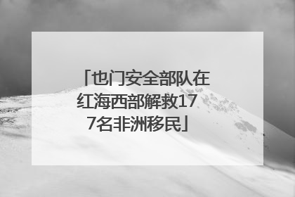 也门安全部队在红海西部解救177名非洲移民