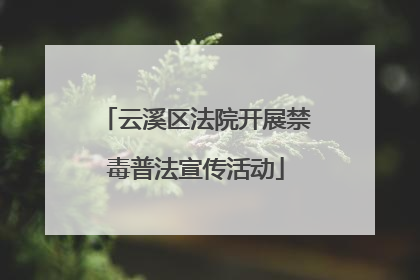 云溪区法院开展禁毒普法宣传活动