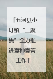 五河县小圩镇“三聚焦”全力推进夏种夏管工作
