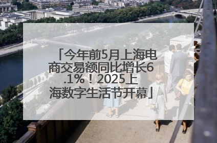 今年前5月上海电商交易额同比增长6.1%！2025上海数字生活节开幕