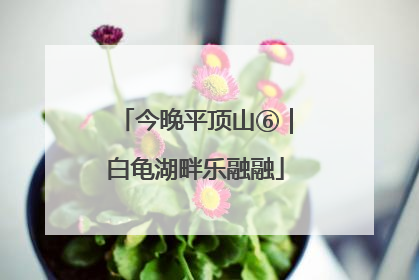 今晚平顶山⑥｜白龟湖畔乐融融