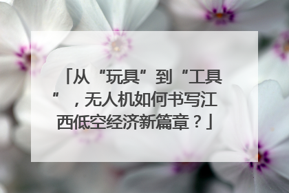 从“玩具”到“工具”，无人机如何书写江西低空经济新篇章？