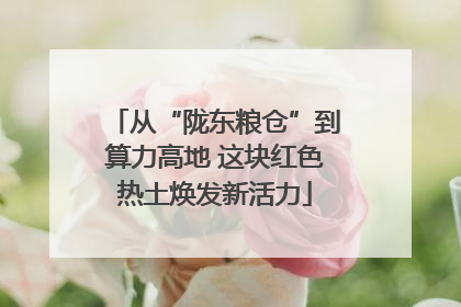 从“陇东粮仓”到算力高地 这块红色热土焕发新活力
