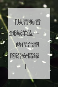 从青梅香到海洋蓝——两代台胞的诏安情缘