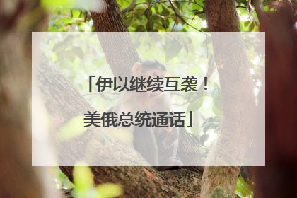伊以继续互袭！美俄总统通话