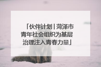 伙伴计划│菏泽市青年社会组织为基层治理注入青春力量
