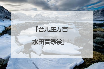 台儿庄万亩水田着绿裳