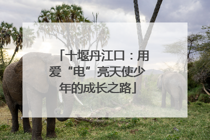 十堰丹江口：用爱“电”亮天使少年的成长之路