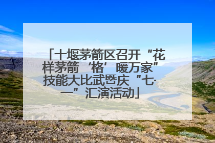 十堰茅箭区召开“花样茅箭‘格’暖万家”技能大比武暨庆“七·一”汇演活动
