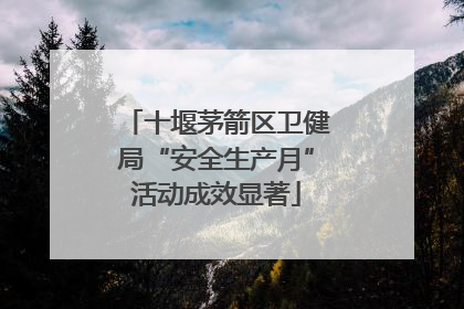 十堰茅箭区卫健局“安全生产月”活动成效显著