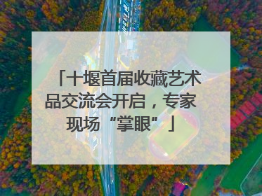 十堰首届收藏艺术品交流会开启，专家现场“掌眼”