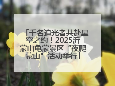 千名追光者共赴星空之约！2025沂蒙山龟蒙景区“夜爬蒙山”活动举行