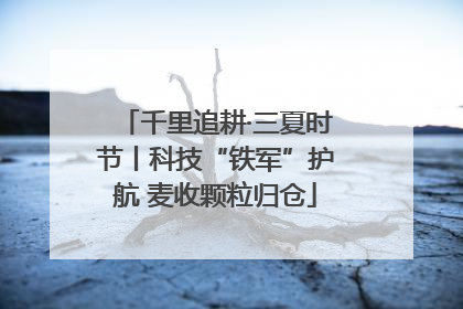千里追耕·三夏时节丨科技“铁军”护航 麦收颗粒归仓