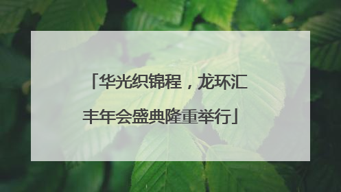 华光织锦程，龙环汇丰年会盛典隆重举行