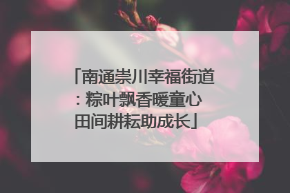 南通崇川幸福街道：粽叶飘香暖童心 田间耕耘助成长