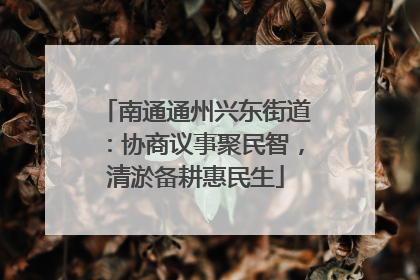 南通通州兴东街道：协商议事聚民智，清淤备耕惠民生